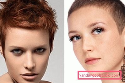 due capelli castani due capelli castani