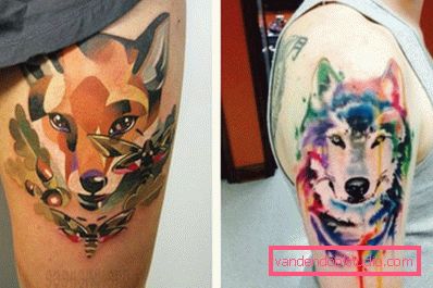 Fox e lupo in acquerello Fox e lupo in acquerello