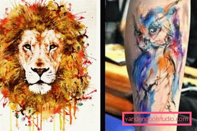 Leone e gufo a colori Leone e gufo a colori
