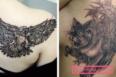 Uccello e gatto sul corpo femminile Uccello e gatto sul corpo femminile