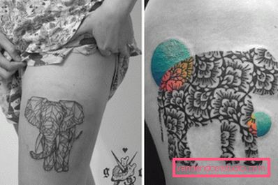 immagine di un elefante sulla coscia immagine di un elefante sulla coscia