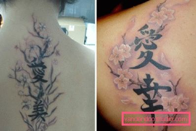 frasi asiatiche con ramo di sakura frasi asiatiche con ramo di sakura