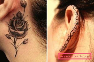 rosa e ornamento rosa e ornamento