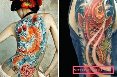 Carp Koi in versione maschile e femminile Carp Koi in versione maschile e femminile
