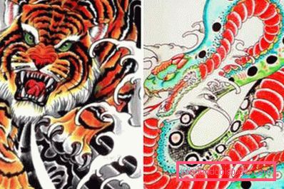 Tigre e serpente Tigre e serpente