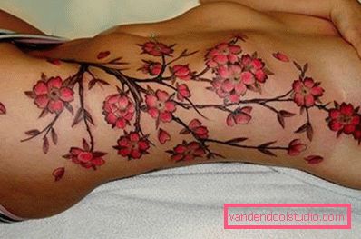 Bright cherry Sakura sul lato della ragazza Bright cherry Sakura sul lato della ragazza