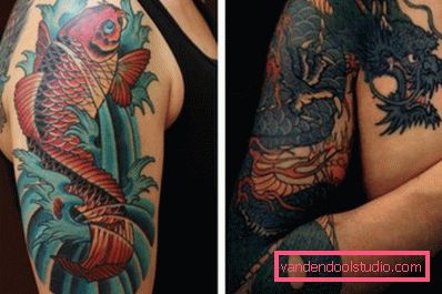 Carpa e drago Carpa e drago