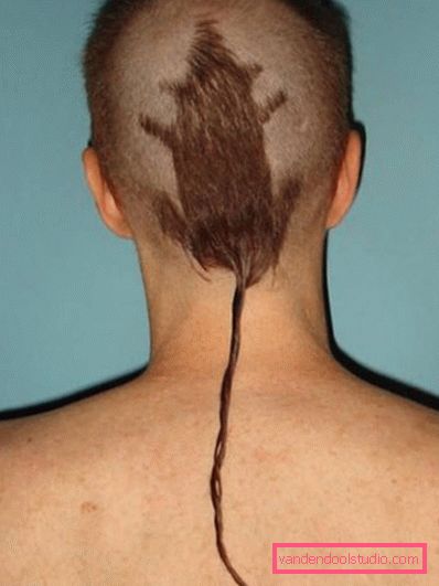 Acconciature divertenti Top capelli divertenti per gli uomini