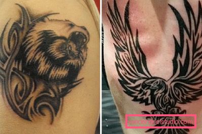 orso e aquila orso e aquila