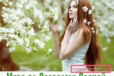 Cura dei capelli in primavera - il percorso per capelli belli