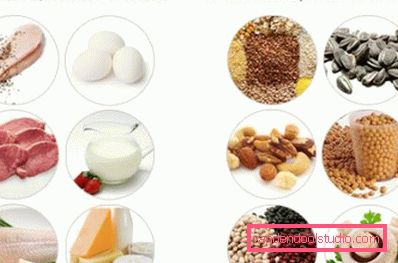 proteine piene e difettose proteine piene e difettose