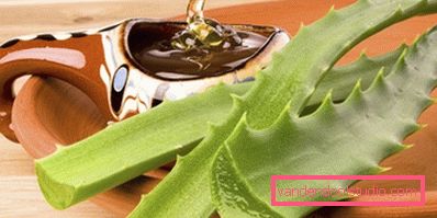 restaurando la maschera per capelli a casa Maschere per capelli riparatrici a casa