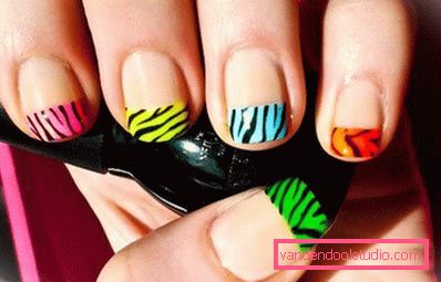 disegno zebra disegno zebra