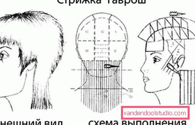 istruzioni di disegno schematico istruzioni di disegno schematico